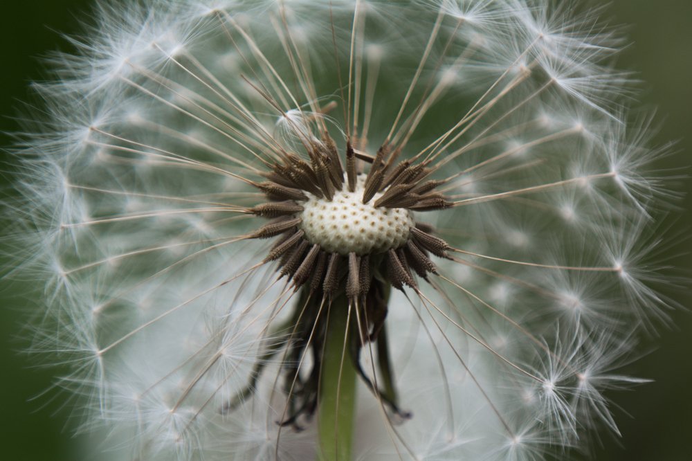 Photograph by Людмила Прибылова