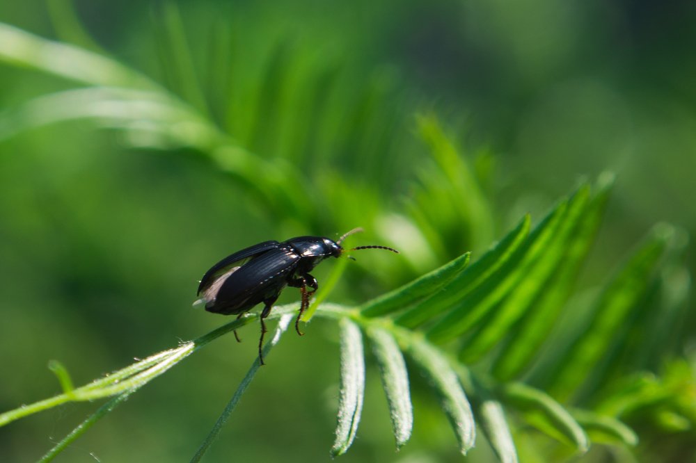 Photograph by Людмила Прибылова
