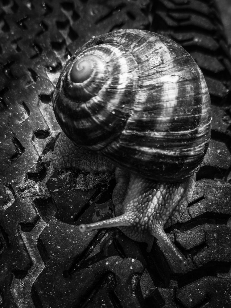 Photograph by Артём