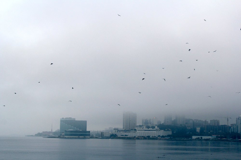 Photograph by Ирина Ковалева