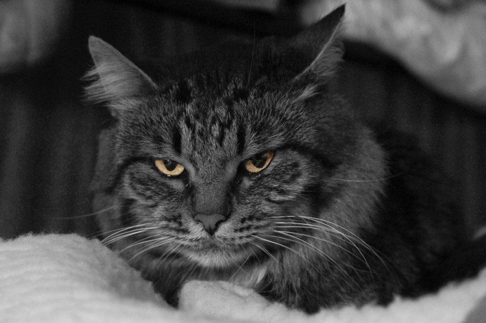 Photograph by Александр Кулагин