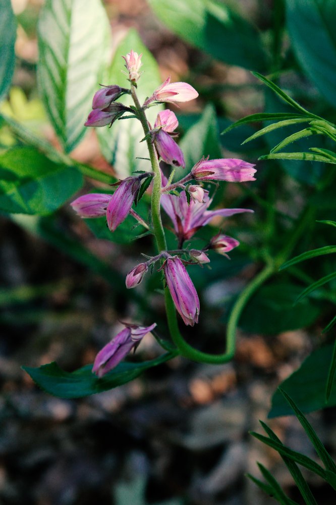 Photograph by Ирина Ковалева