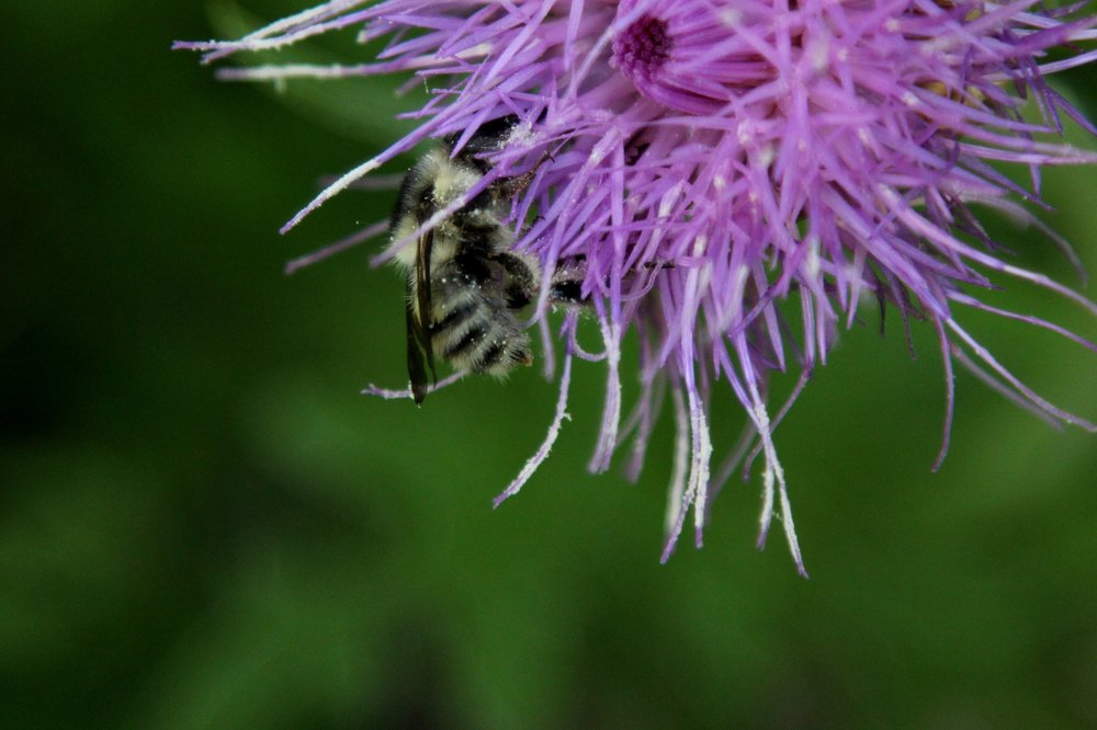 Photograph by Ирина Ковалева