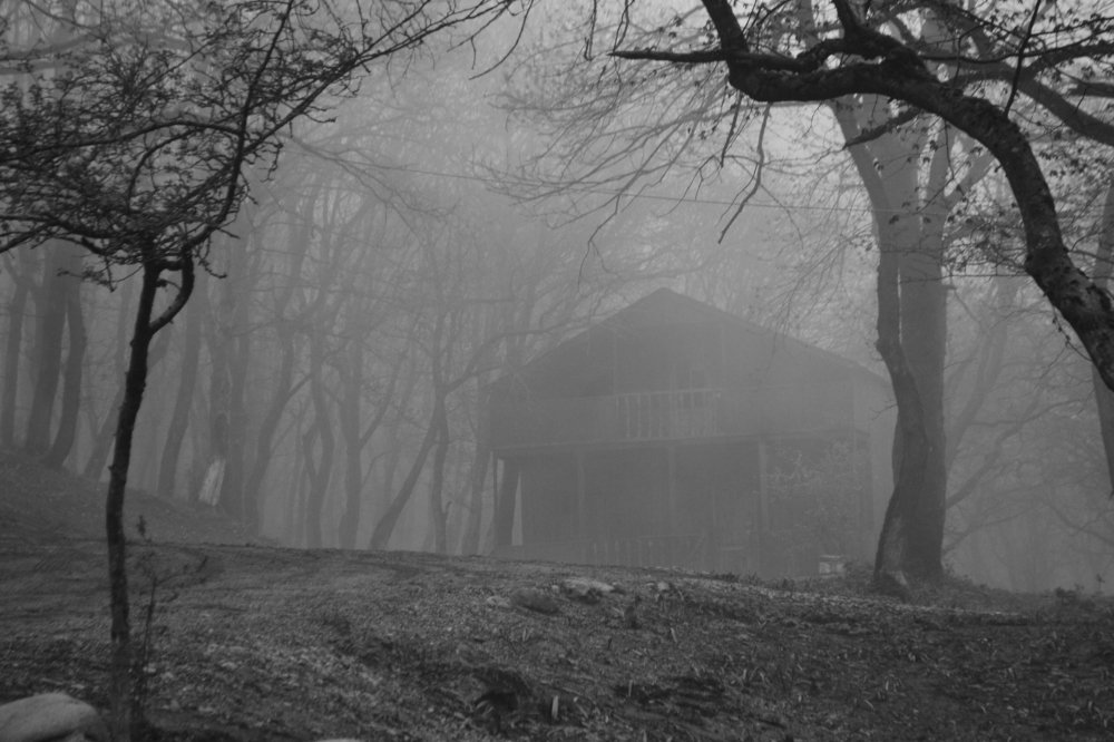 Photograph by Fidan Nazim qizi