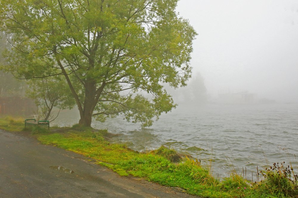 Туманное утро