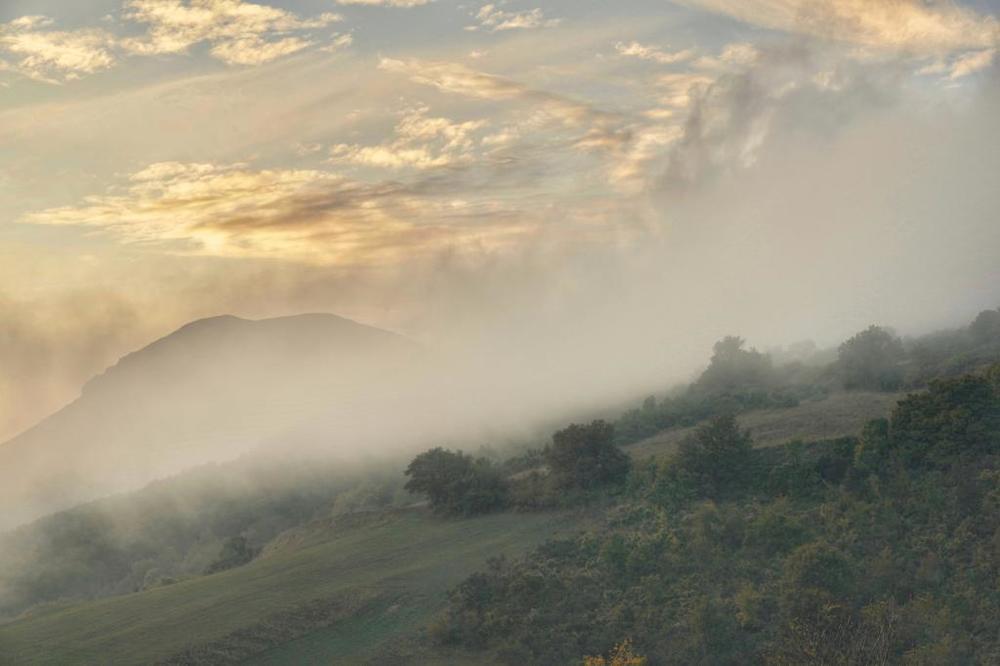 Photograph by Марина Неберекутина