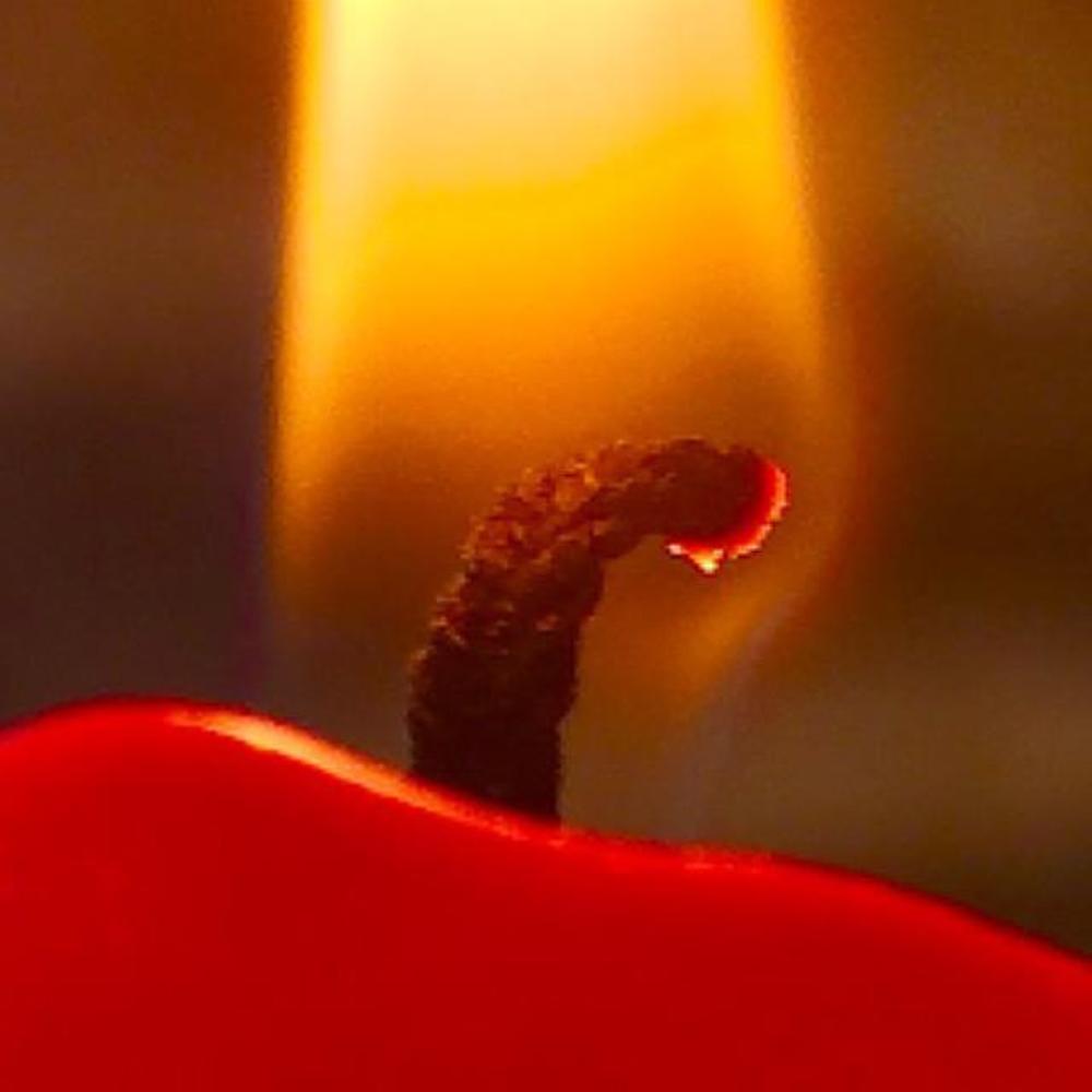 Photograph by Марина Неберекутина