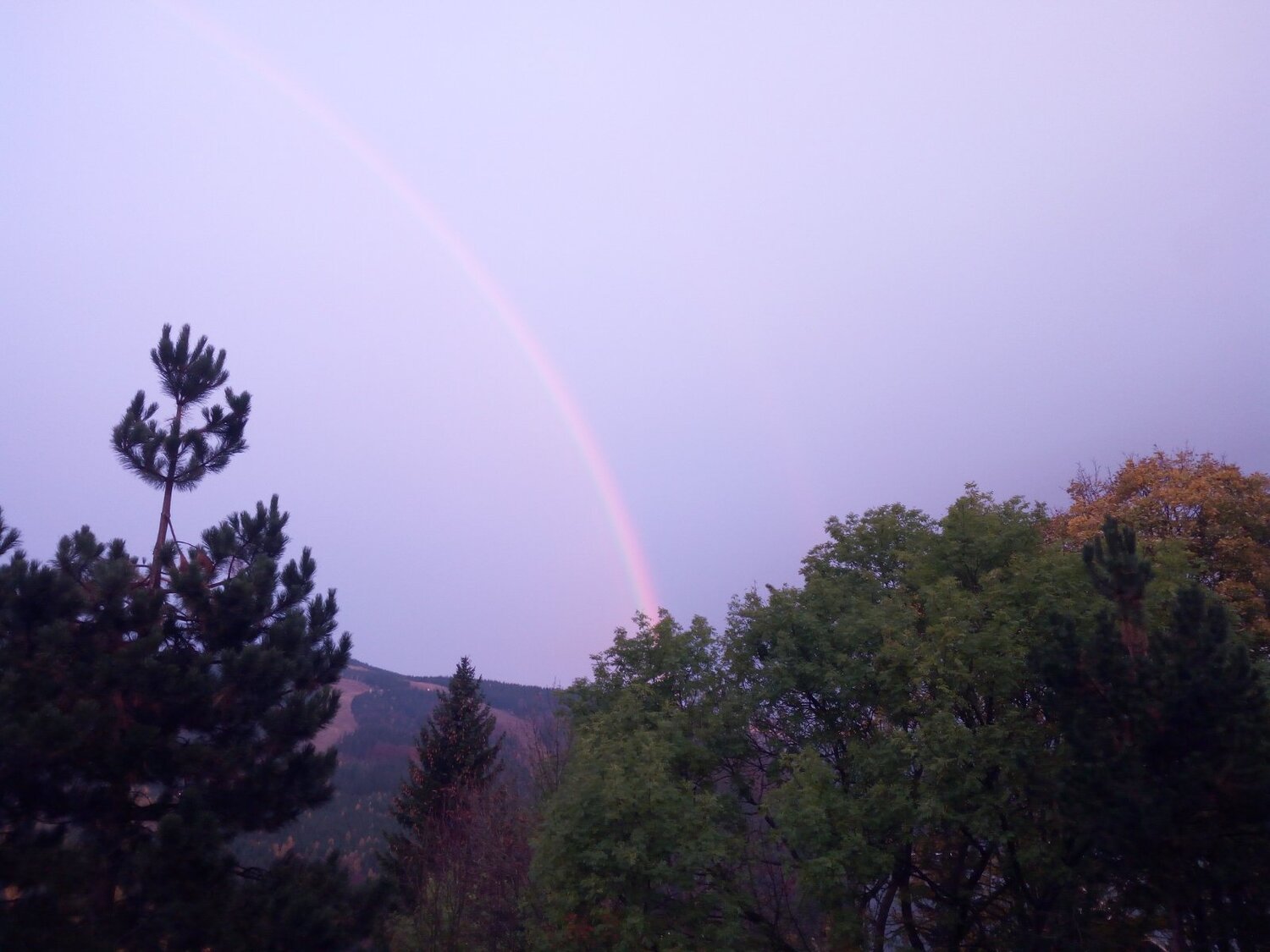 Photo #4665111