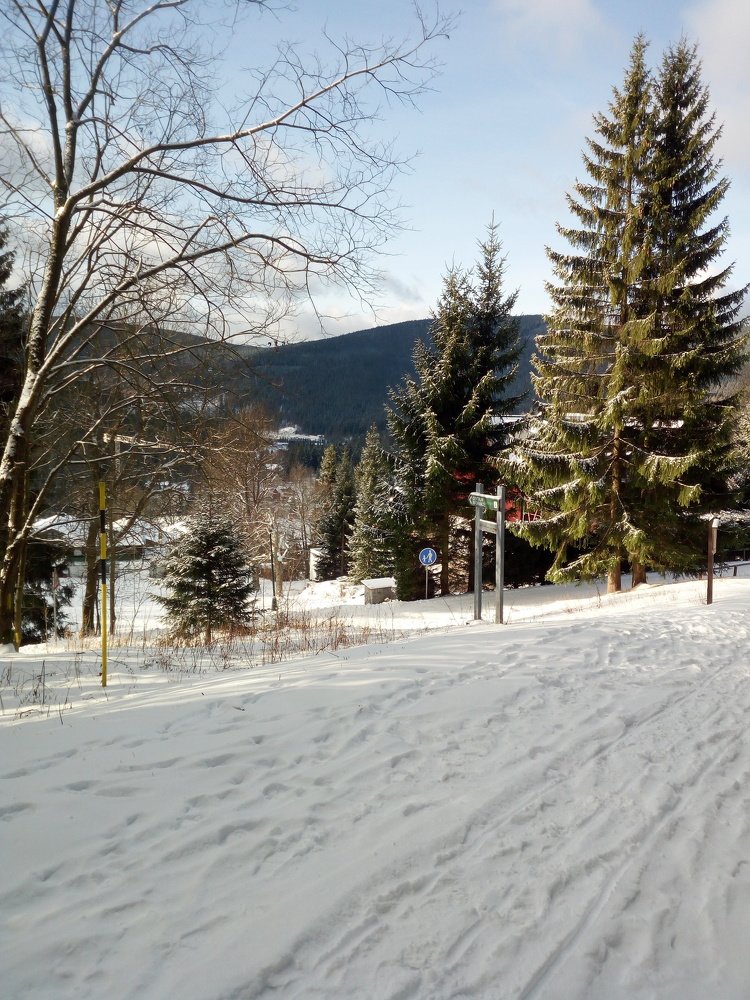 Photo #4665125