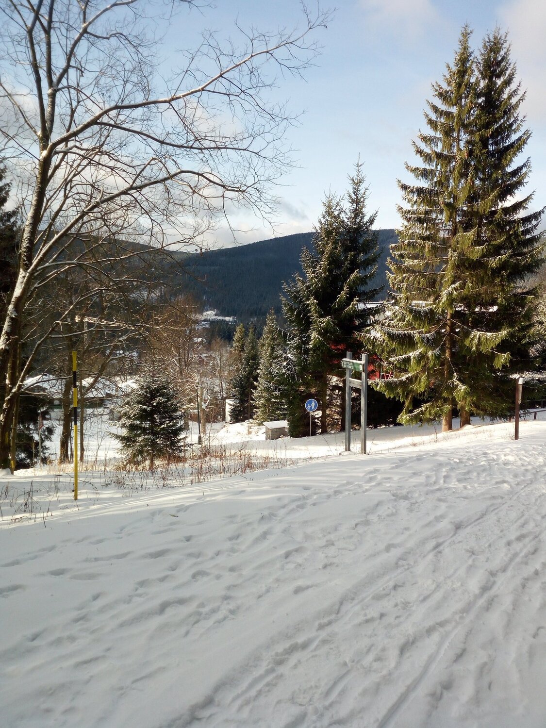 Photo #4665125