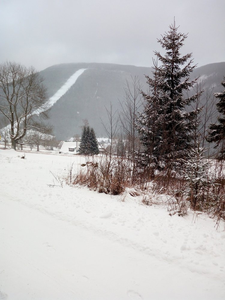Photo #4665128