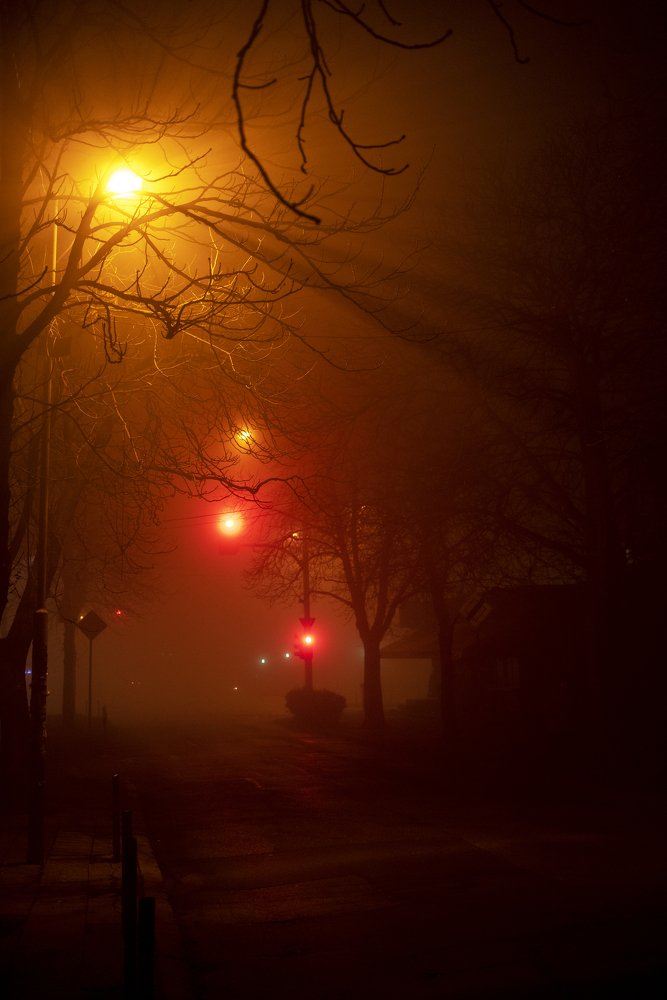 Photograph by Svetozar Simov