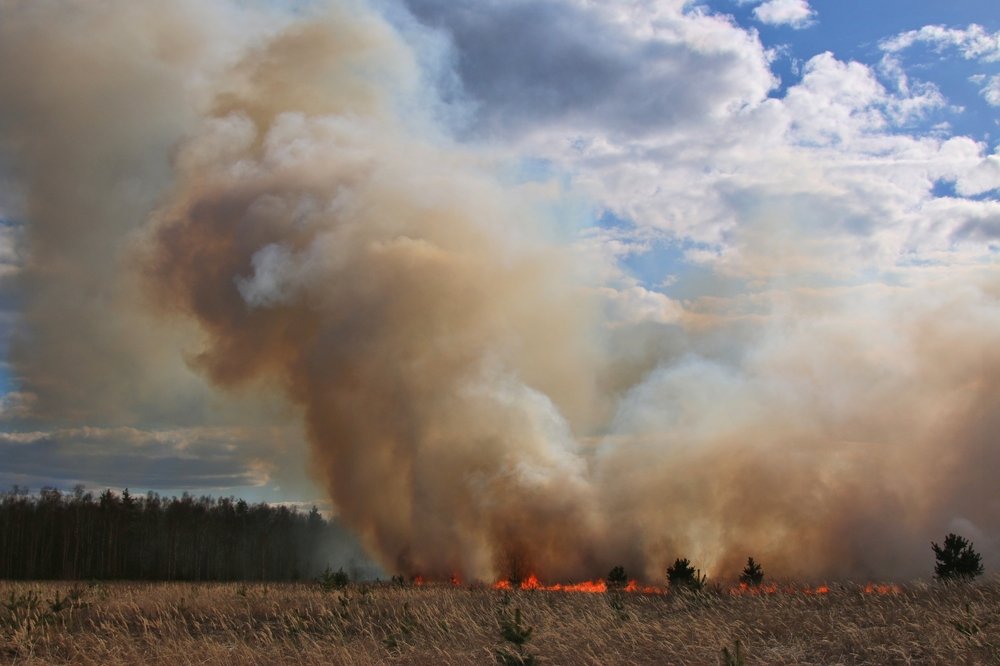Photograph by Алексей Федулов