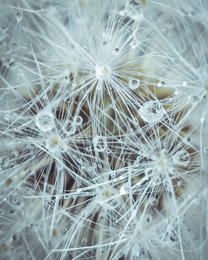 Photograph by Mikalai Stralchuk