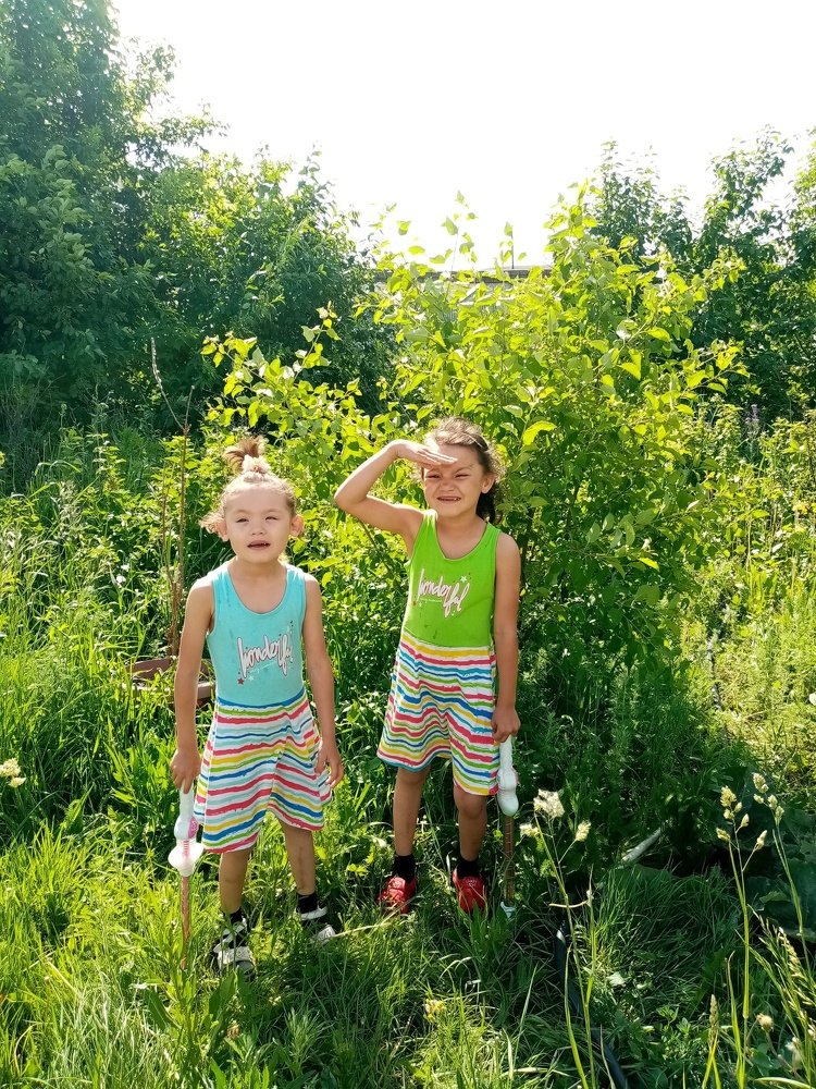 Photo #4665278