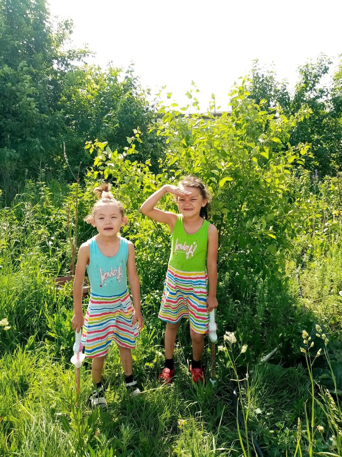 Photo #4665278