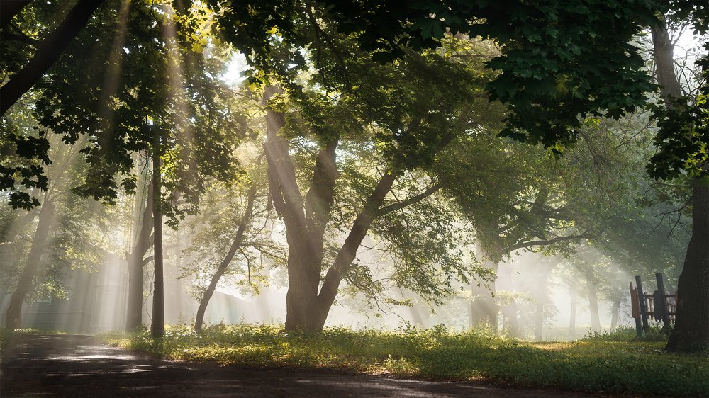 Photograph by Александр Носиков