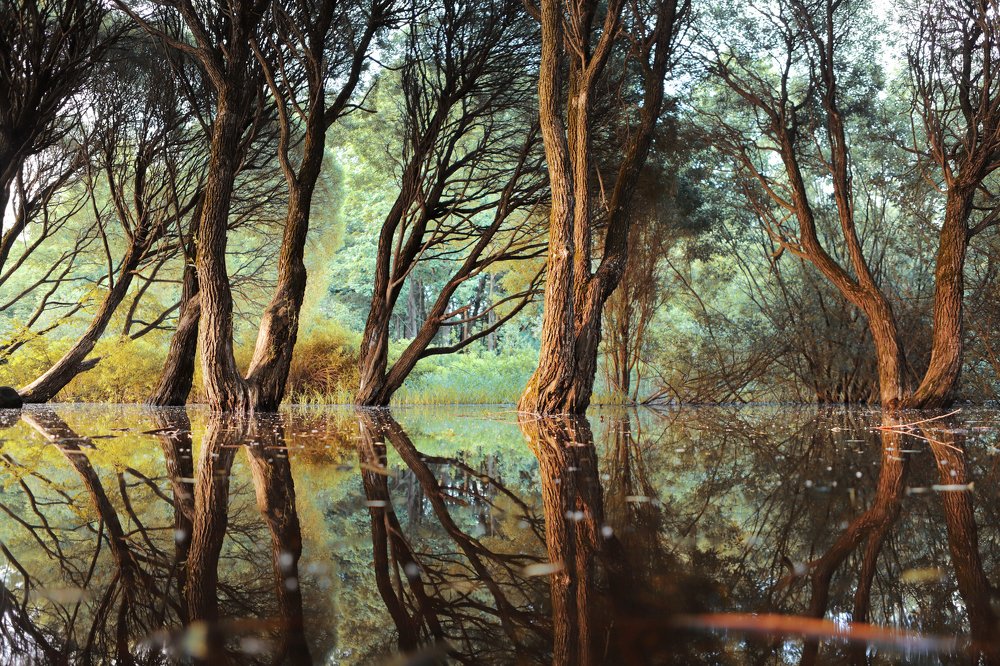 Июньские зарисовки