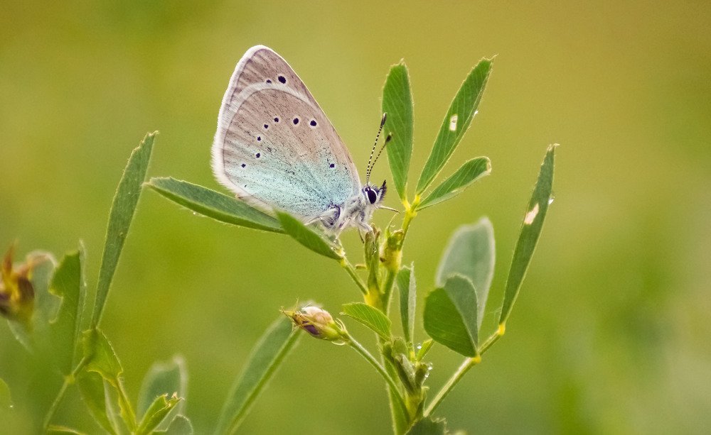 Photograph by Slesareva Nina