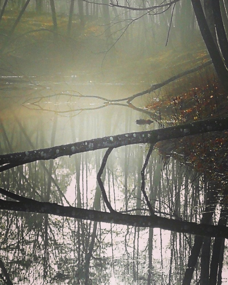 Фотография автора Павел Барский