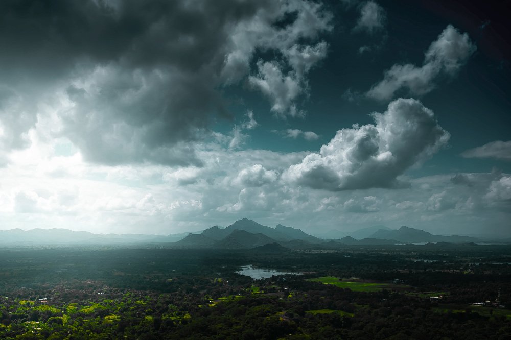 Photograph by Susnata Majumder