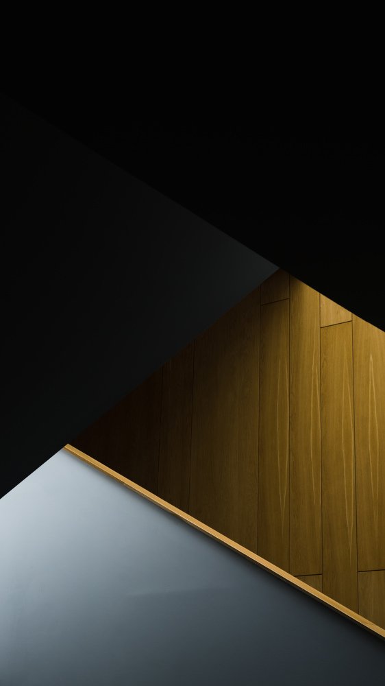 Фотография автора Ivelina Petkova