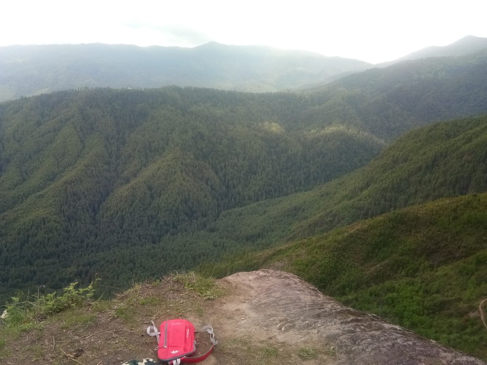 Photo #4665424
