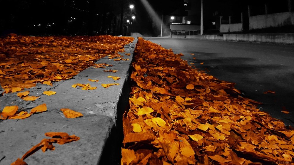 Photograph by Rusmir Ramovic