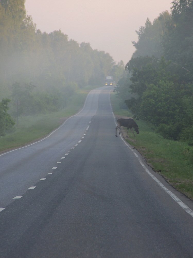 Photograph by Суетинов Евгений