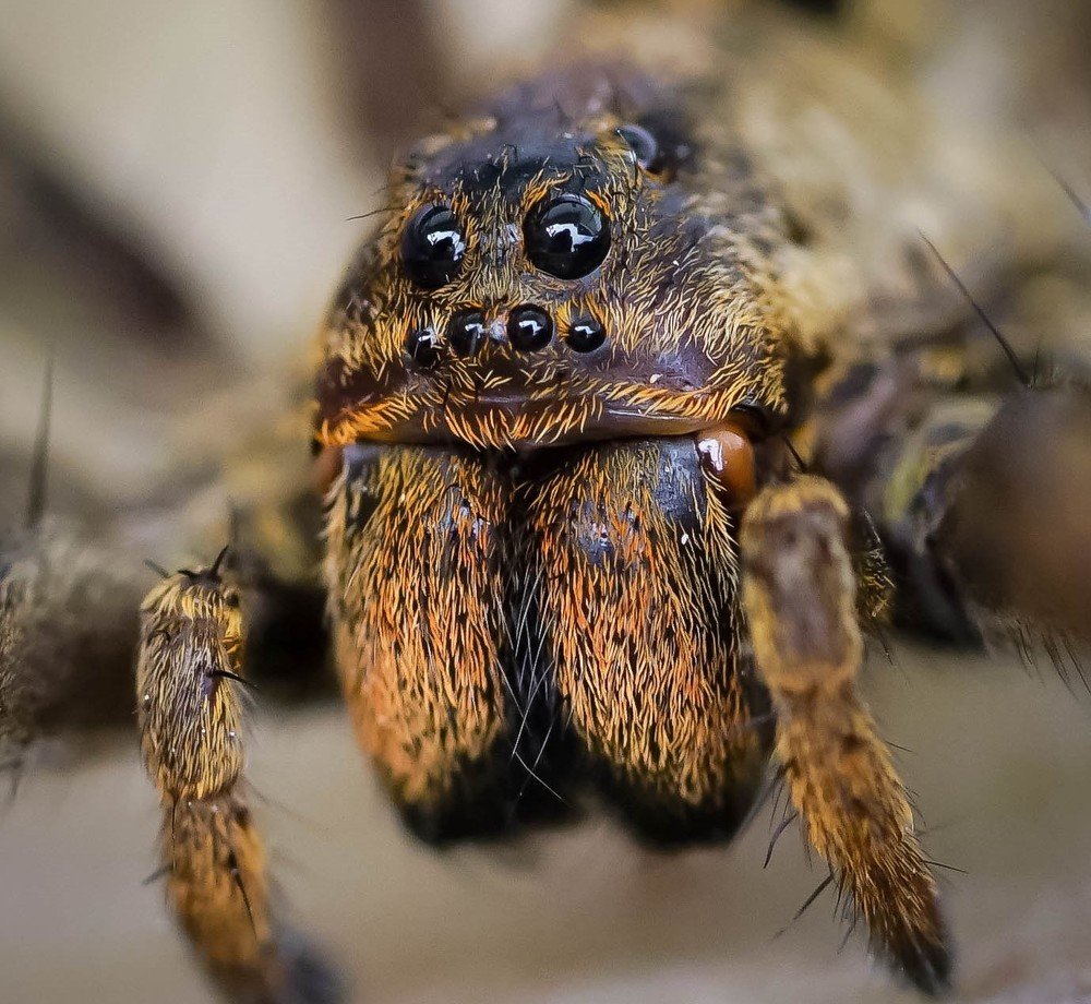 Y yo reflejada en sus ojos!!!!!