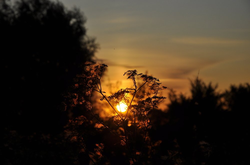 Photograph by 