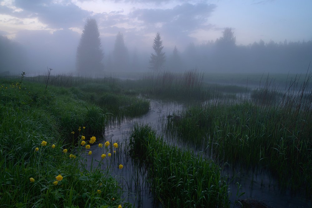 Photograph by Олег Иваницкий