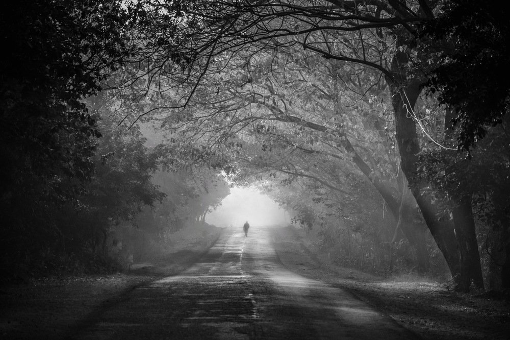 Photograph by Debasish Mishra