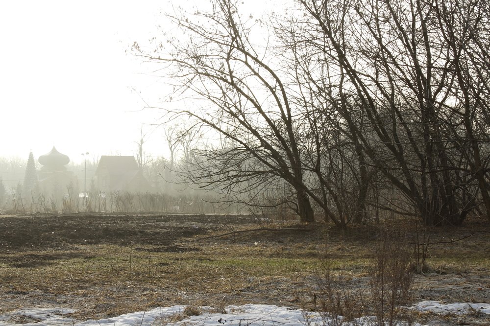 Photograph by Ольга Рогава