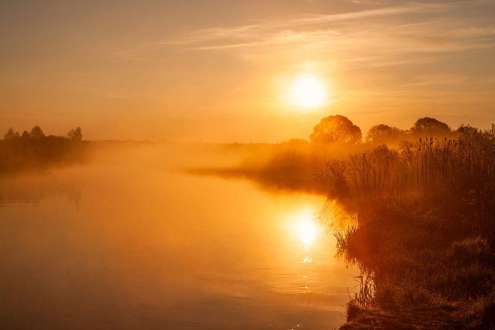 Photograph by Евгений Новицкий