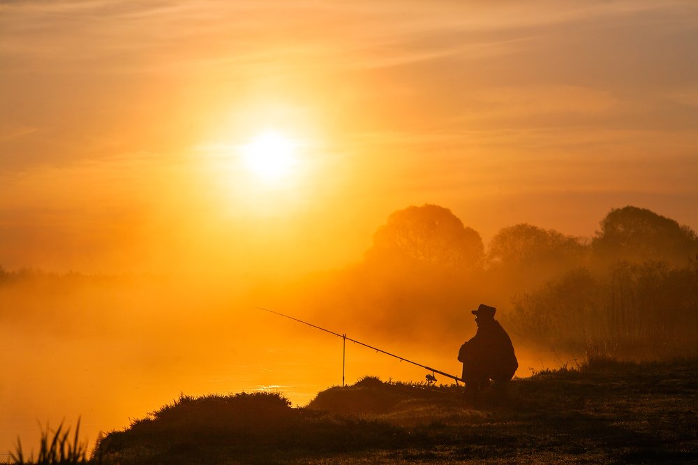Photograph by Евгений Новицкий