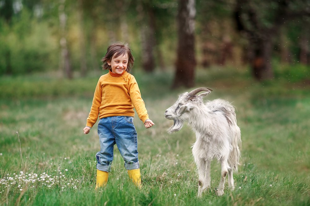 Детство в деревне