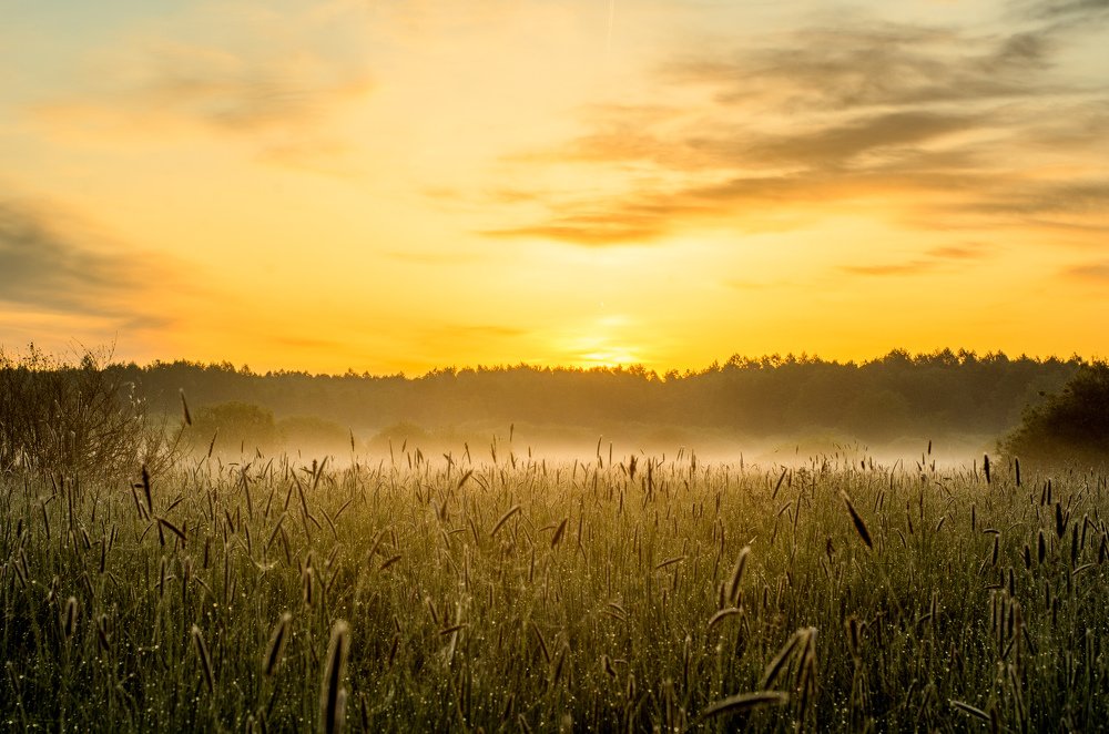 Photograph by Евгений Новицкий