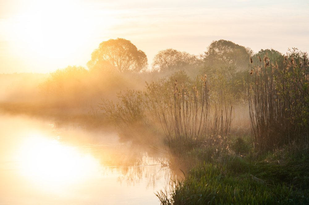 Photograph by Евгений Новицкий
