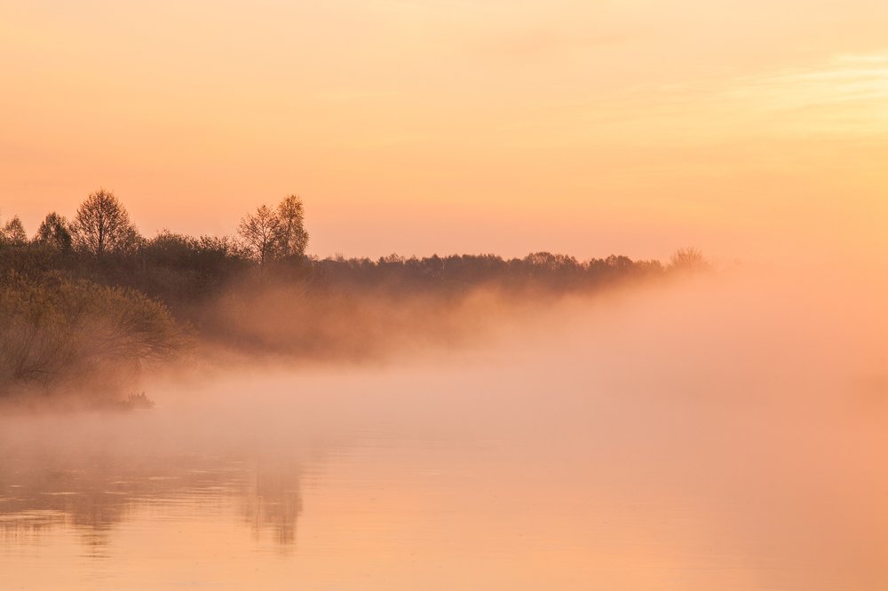 Photograph by Евгений Новицкий