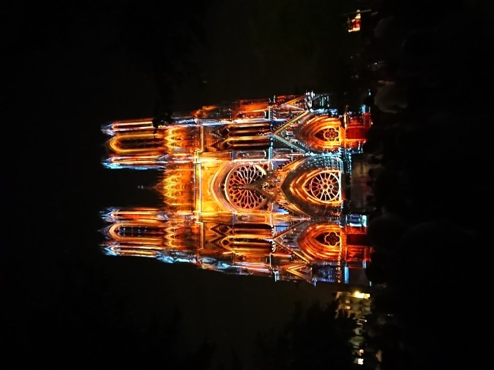 Photo #4666003