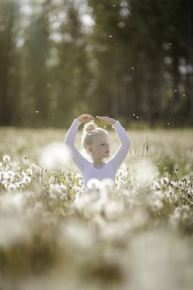 Little ballerina dandelion dance at sunset
