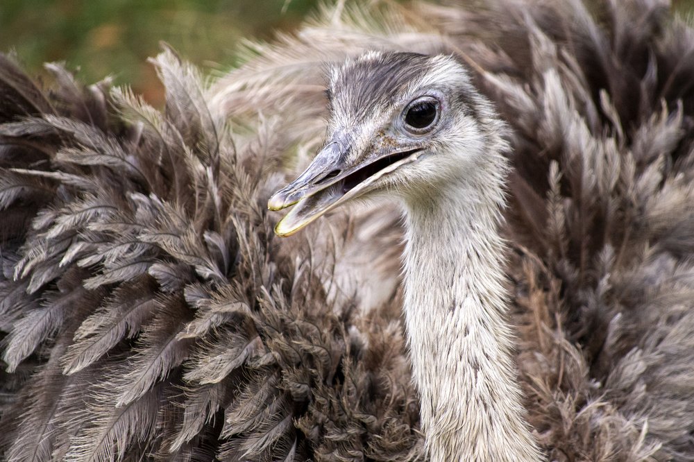 Photograph by Lucia Urblikova