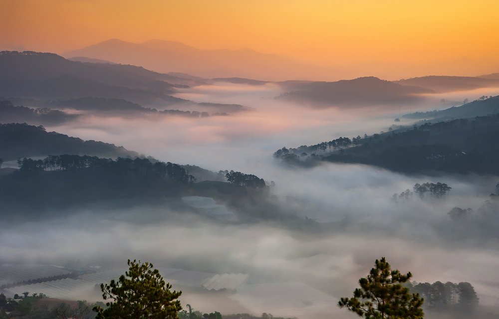 Mờ sương khi bình minh