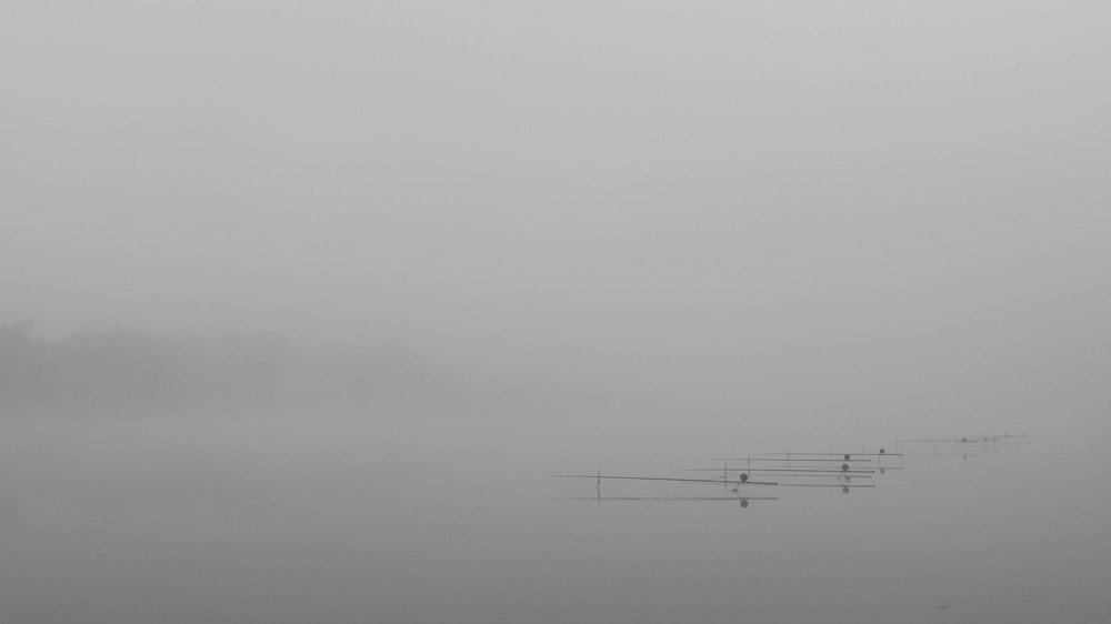 Photograph by Дмитрий Николаев