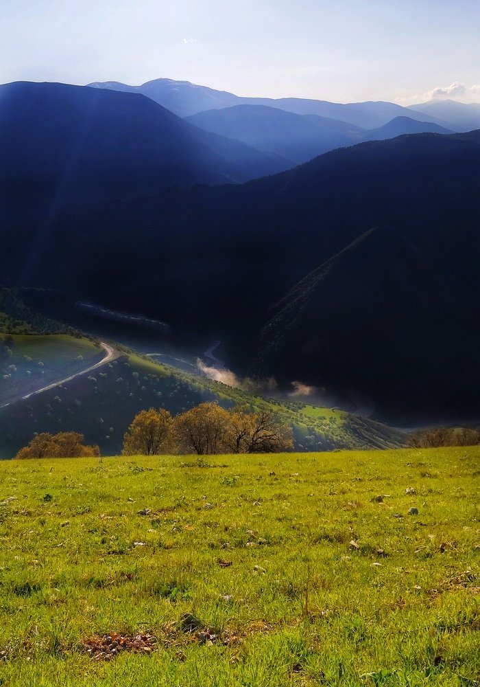 Photograph by Yahya Kakapour