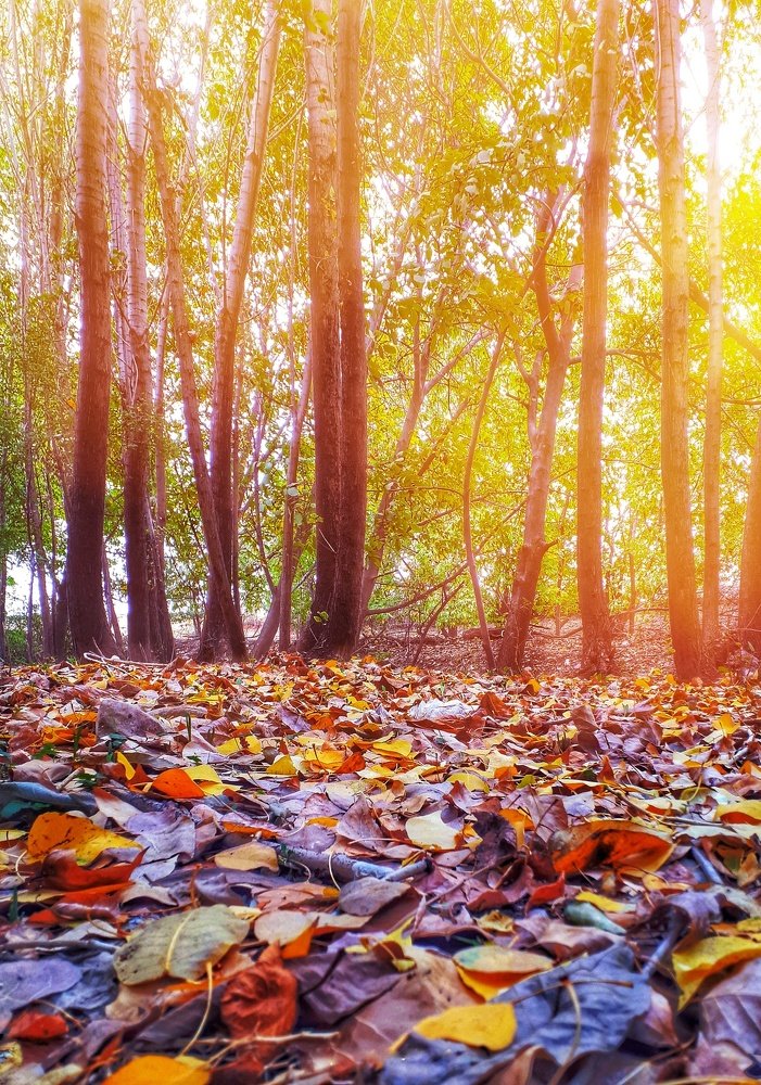 Photograph by Yahya Kakapour