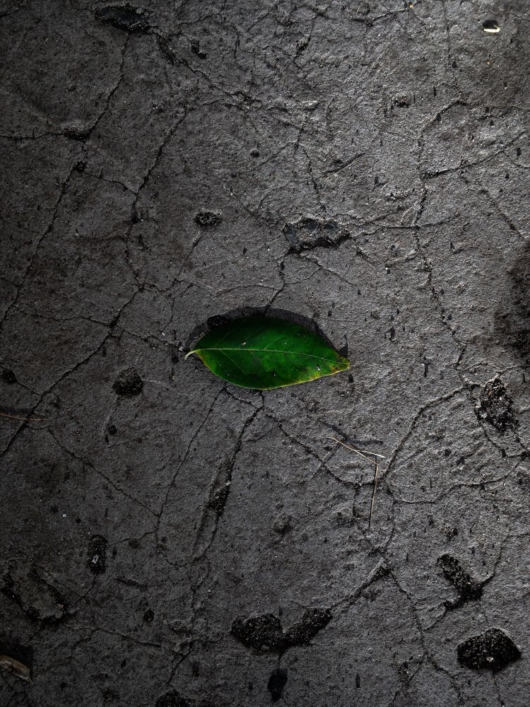 Photograph by Денис Хананов