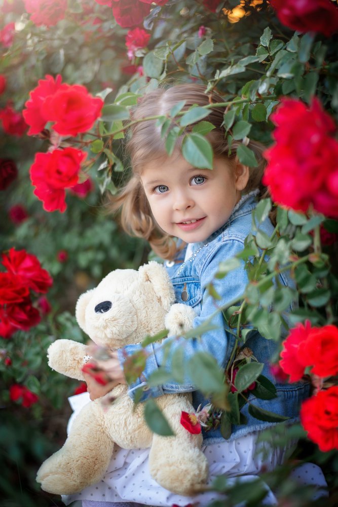 Прятки в розах