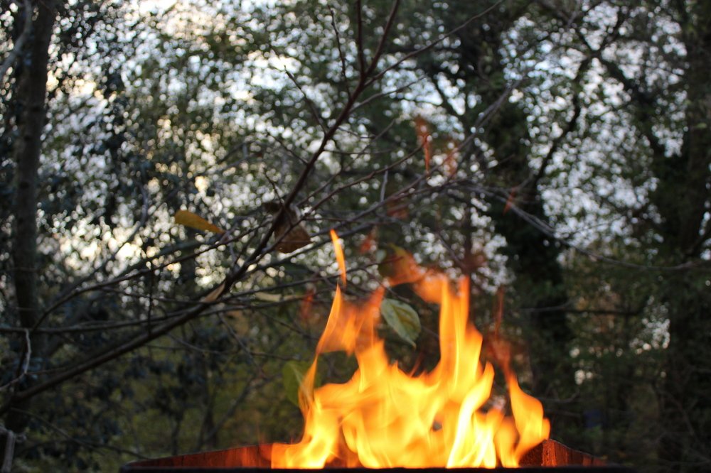 Photograph by Николай Немчанинов